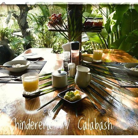 Chinderera Eco Lodge Manguzi Eksteriør bilde